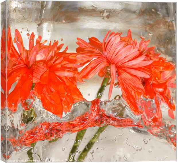 Flowers water and ice in frozen water red Canvas Print by kathy white