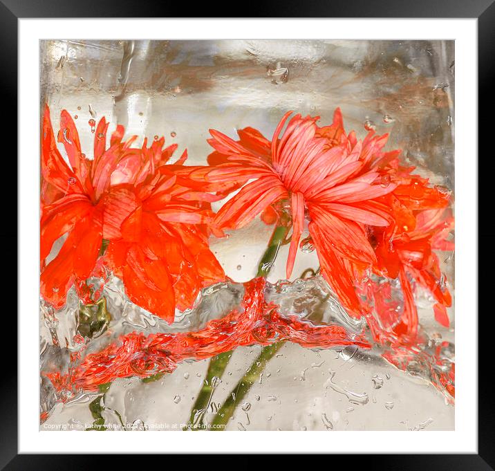 Flowers water and ice in frozen water red Framed Mounted Print by kathy white
