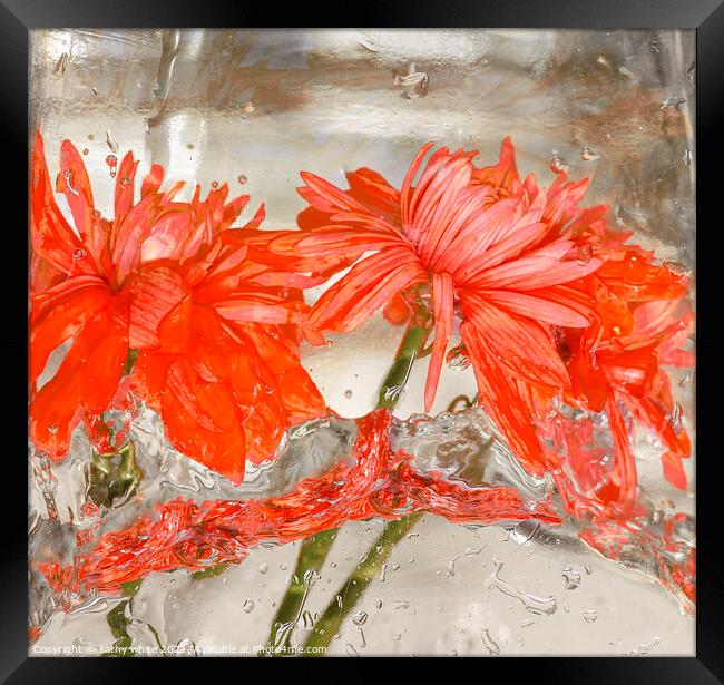 Flowers water and ice in frozen water red Framed Print by kathy white