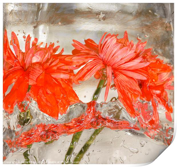 Flowers water and ice in frozen water red Print by kathy white