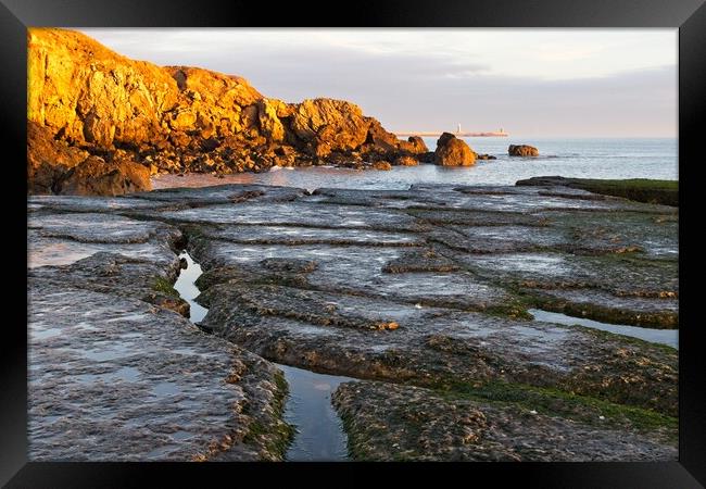 Trow Point, South Sheilds Framed Print by Rob Cole