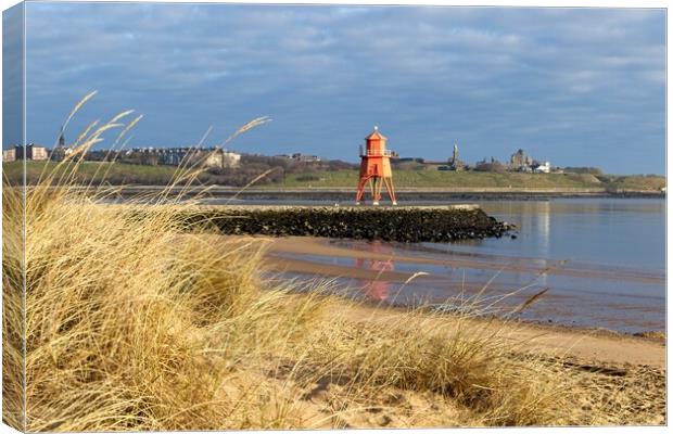 The Herd Groyne Lighthouse, South Shields Canvas Print by Rob Cole
