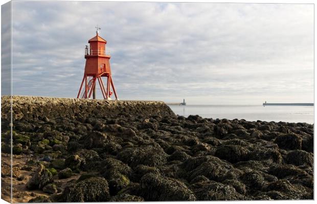 The Herd Groyne Lighthouse, South Shields Canvas Print by Rob Cole