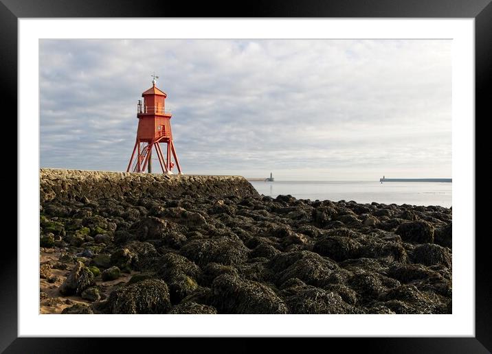 The Herd Groyne Lighthouse, South Shields Framed Mounted Print by Rob Cole