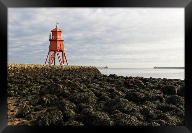 The Herd Groyne Lighthouse, South Shields Framed Print by Rob Cole