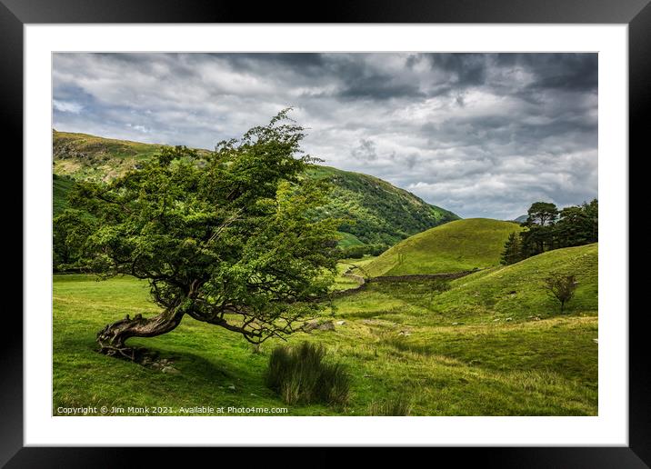 Windswept Tree, Lake District Framed Mounted Print by Jim Monk