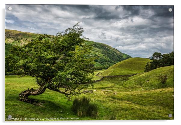 Windswept Tree, Lake District Acrylic by Jim Monk