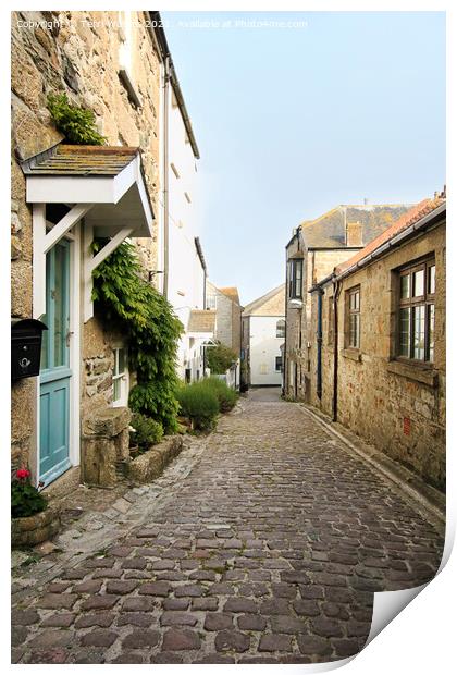 Bunkers Hill St Ives Print by Terri Waters
