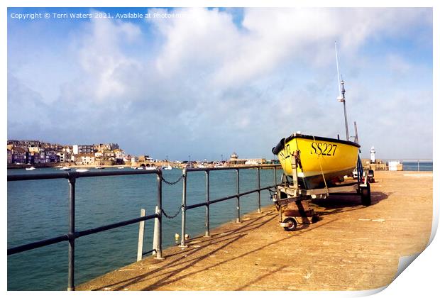 SS227 Between the lighthouses at St Ives Print by Terri Waters