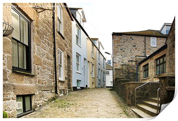 Rose Lane, Bunkers Hill St Ives Print by Terri Waters