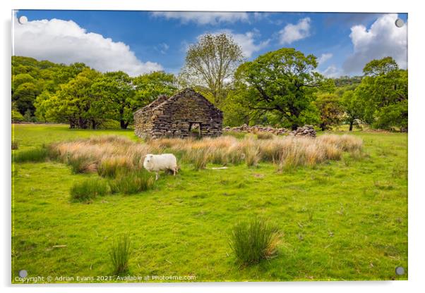 Welsh Cottage and Sheep Acrylic by Adrian Evans