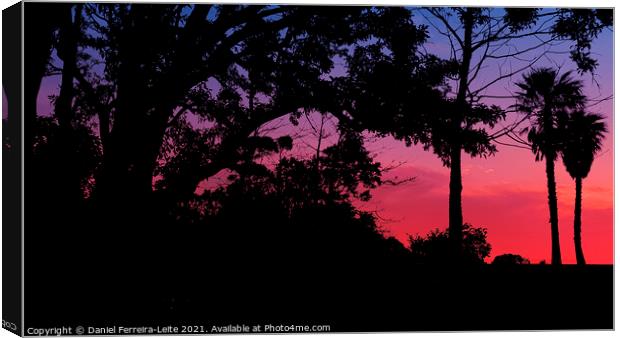 Sunset Trees Landscape Silhouette Canvas Print by Daniel Ferreira-Leite