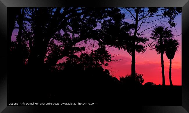 Sunset Trees Landscape Silhouette Framed Print by Daniel Ferreira-Leite
