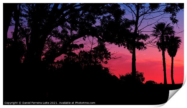 Sunset Trees Landscape Silhouette Print by Daniel Ferreira-Leite