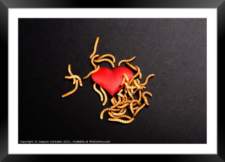 Heart broken background for valentine, rotten by worms metaphor. Framed Mounted Print by Joaquin Corbalan