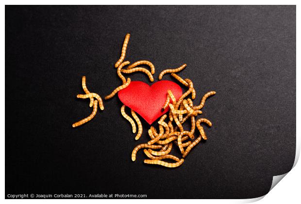 Heart broken background for valentine, rotten by worms metaphor. Print by Joaquin Corbalan