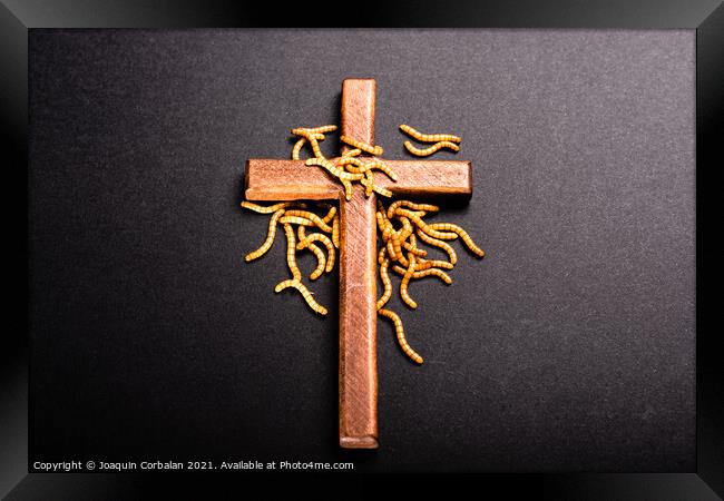 Christian wooden cross attacked by worms that rot the roots of C Framed Print by Joaquin Corbalan