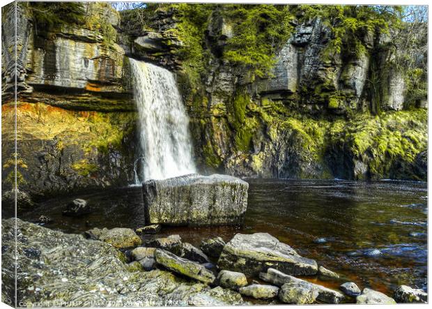 Thornton force waterfall  Ingleton in the Yorkshire dales 344 Canvas Print by PHILIP CHALK
