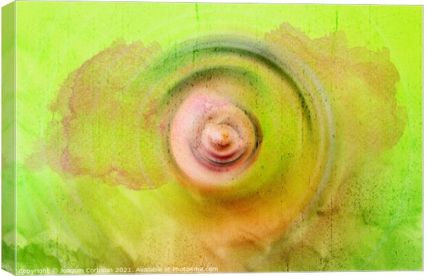 Abstract background with concentric circles flowing from the cen Canvas Print by Joaquin Corbalan