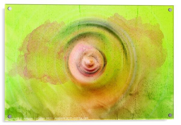Abstract background with concentric circles flowing from the cen Acrylic by Joaquin Corbalan