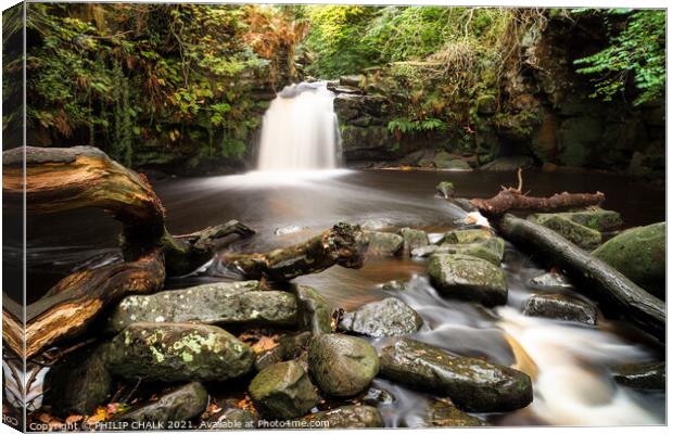 Thomasson foss in the yorkshire moors 347 Canvas Print by PHILIP CHALK