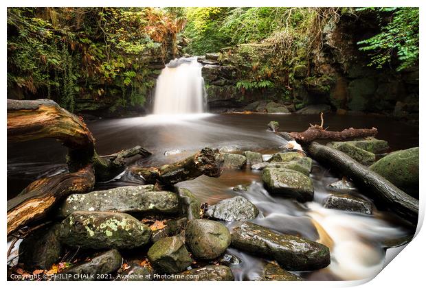 Thomasson foss in the yorkshire moors 347 Print by PHILIP CHALK