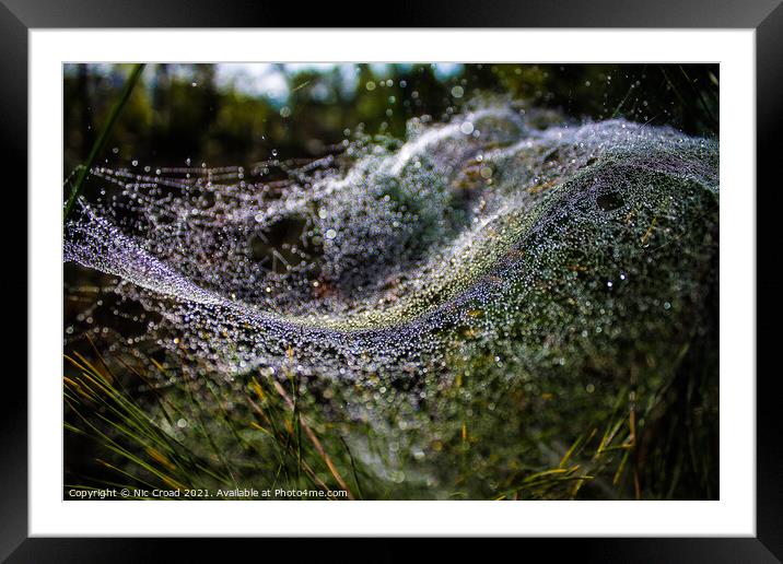 Wavy Web Framed Mounted Print by Nic Croad