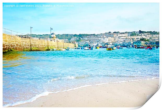 The Harbour St Ives Print by Terri Waters