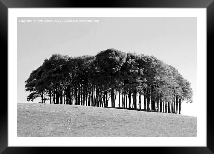 Nearly Home Trees Framed Mounted Print by Terri Waters