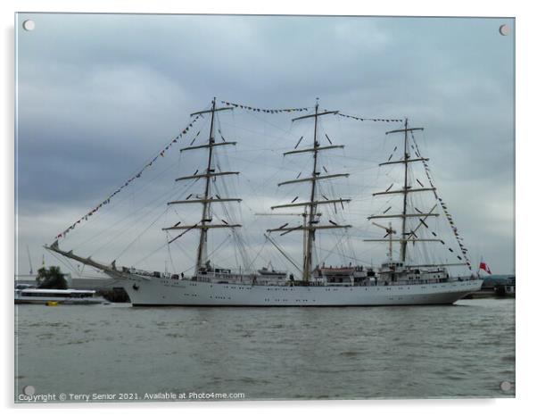 Dar Mlodziezy three mast Tall Ship on the River Thames at Greenwich Regatta Acrylic by Terry Senior