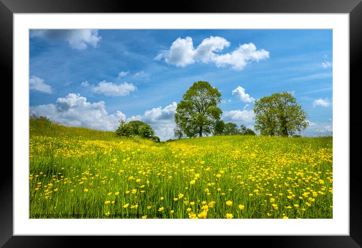 The yellow sea. Framed Mounted Print by Bill Allsopp