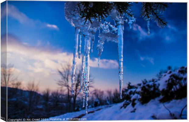Icicle hanging from a tree Canvas Print by Nic Croad