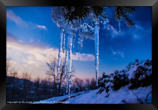 Icicle hanging from a tree Framed Print by Nic Croad