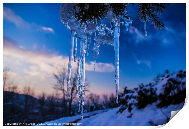Icicle hanging from a tree Print by Nic Croad