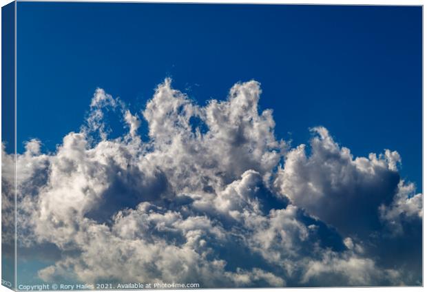 Cumulus clouds  blue sky Canvas Print by Rory Hailes