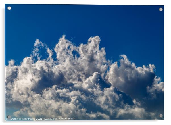 Cumulus clouds  blue sky Acrylic by Rory Hailes