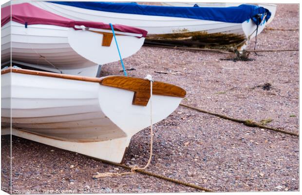 Rowing Boats Beached At Low Tide On Teignmouth 'Ba Canvas Print by Peter Greenway