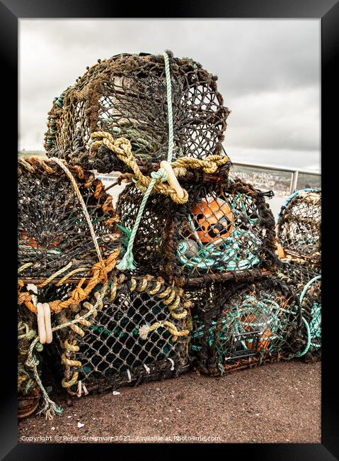 Fishermen Lobster Pots At Shaldon, Devon Framed Print by Peter Greenway