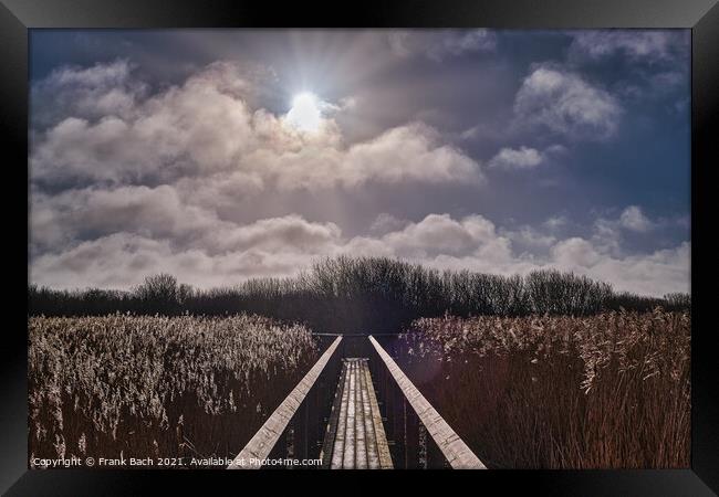 National Park Vejlerne walking paths in North West Denmark Framed Print by Frank Bach