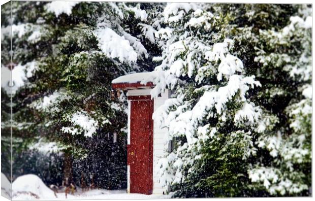 Outhouse in the Snow....  misc  Canvas Print by Elaine Manley