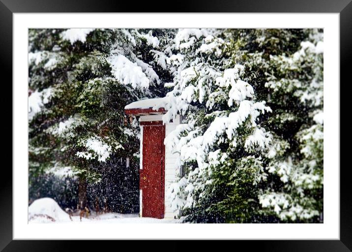 Outhouse in the Snow....  misc  Framed Mounted Print by Elaine Manley