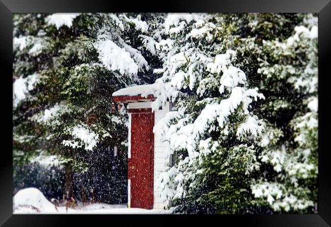 Outhouse in the Snow....  misc  Framed Print by Elaine Manley