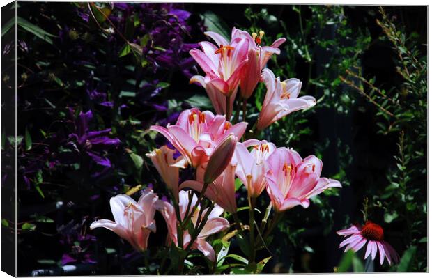 Pink Day Lillies...   flower Canvas Print by Elaine Manley