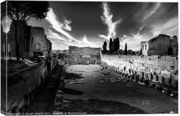 Forum in Rome Italy Canvas Print by Stuart Chard