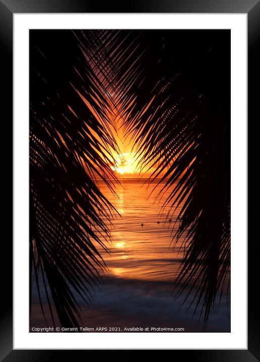 Palm trees at sunset, St. Lucia, Caribbean Framed Mounted Print by Geraint Tellem ARPS