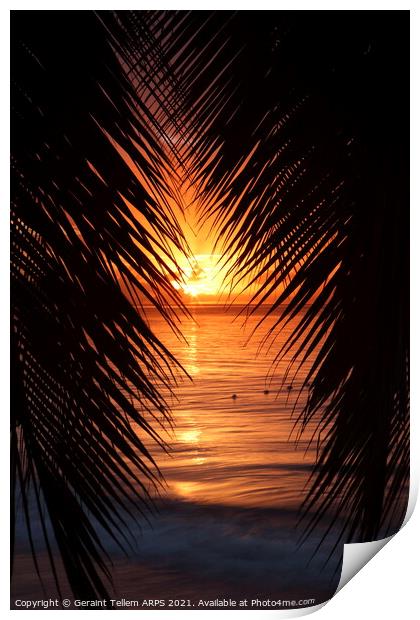 Palm trees at sunset, St. Lucia, Caribbean Print by Geraint Tellem ARPS