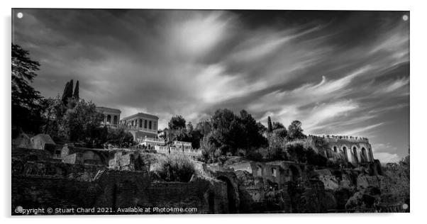 palatine hill and forum in Rome, Black and White Acrylic by Travel and Pixels 
