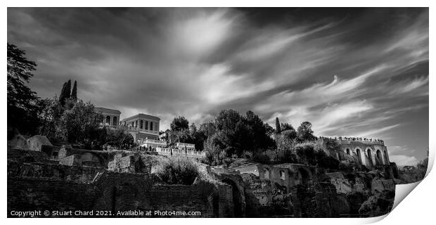 palatine hill and forum in Rome, Black and White Print by Travel and Pixels 