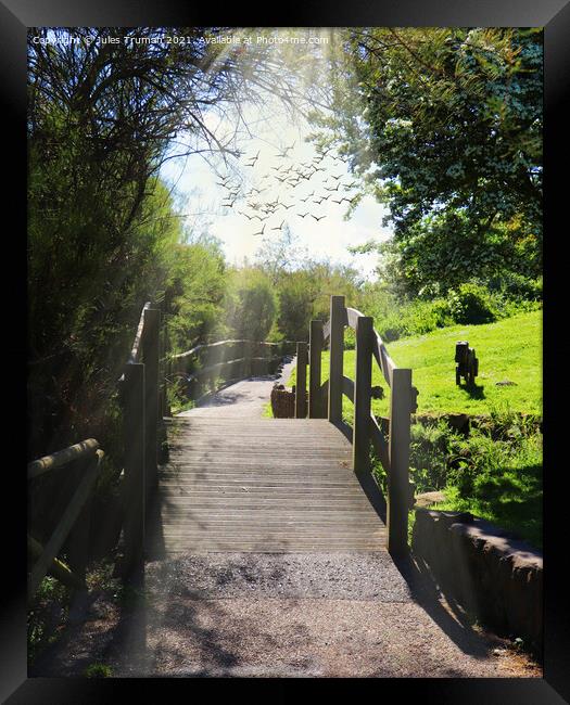 Woodland Walk Footbridge Framed Print by Jules D Truman