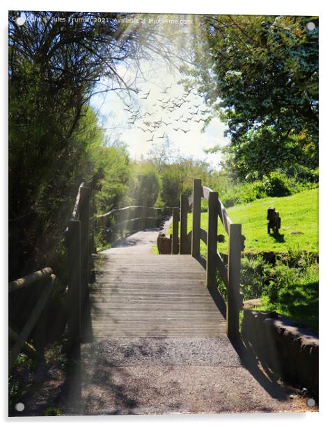 Woodland Walk Footbridge Acrylic by Jules D Truman
